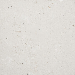 Shell Stone Limestone Paver